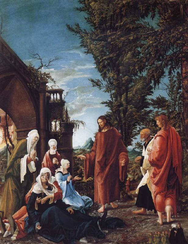 ALTDORFER, Albrecht Christ Taking Leave of his mother Spain oil painting art